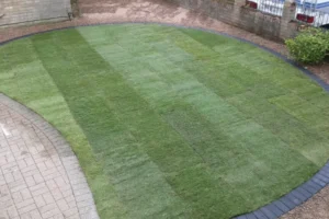 Yew-Tree-Landscapes-Gallery-103 Yew-Tree-Landscapes-Gallery-103