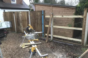 Yew-Tree-Landscapes-Gallery-125 Yew-Tree-Landscapes-Gallery-125