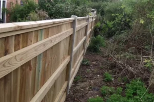 Yew-Tree-Landscapes-Gallery-19 Yew-Tree-Landscapes-Gallery-19