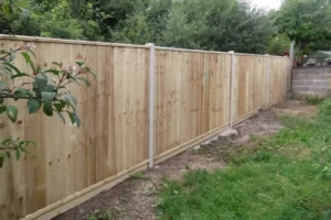 Yew-Tree-Landscapes-Gallery-20 Yew-Tree-Landscapes-Gallery-20