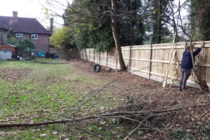 Yew-Tree-Landscapes-Gallery-23 Yew-Tree-Landscapes-Gallery-23