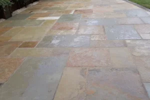 Yew-Tree-Landscapes-Gallery-35 Yew-Tree-Landscapes-Gallery-35