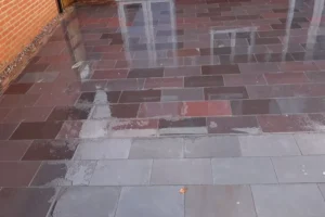 Yew-Tree-Landscapes-Gallery-41 Yew-Tree-Landscapes-Gallery-41