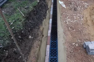 Yew-Tree-Landscapes-Gallery-42 Yew-Tree-Landscapes-Gallery-42