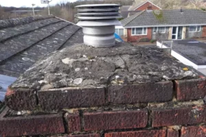 Yew-Tree-Landscapes-Gallery-51 Yew-Tree-Landscapes-Gallery-51