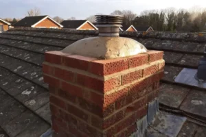 Yew-Tree-Landscapes-Gallery-52 Yew-Tree-Landscapes-Gallery-52