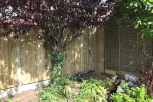 Yew-Tree-Landscapes-Gallery-64 Yew-Tree-Landscapes-Gallery-64